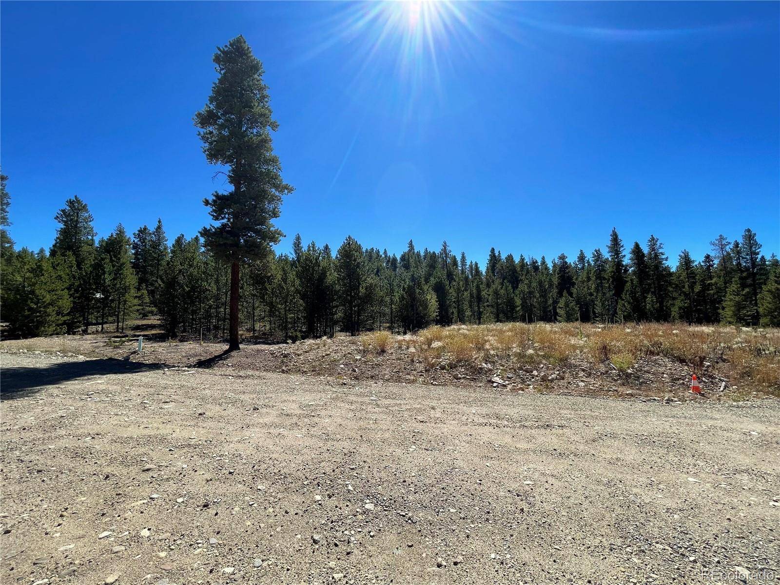 451 Virginia AVE, Leadville, CO 80461
