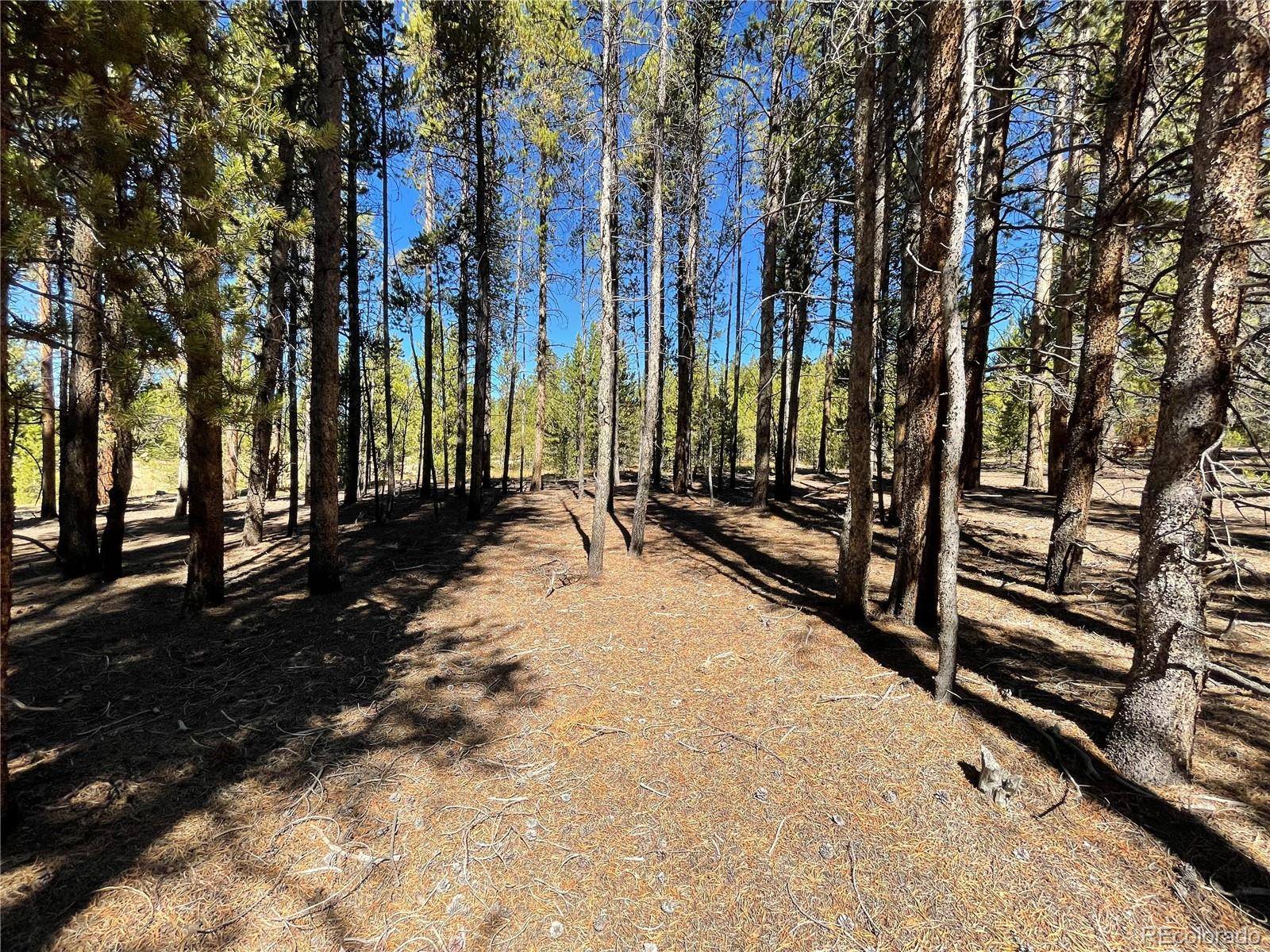 451 Virginia AVE, Leadville, CO 80461