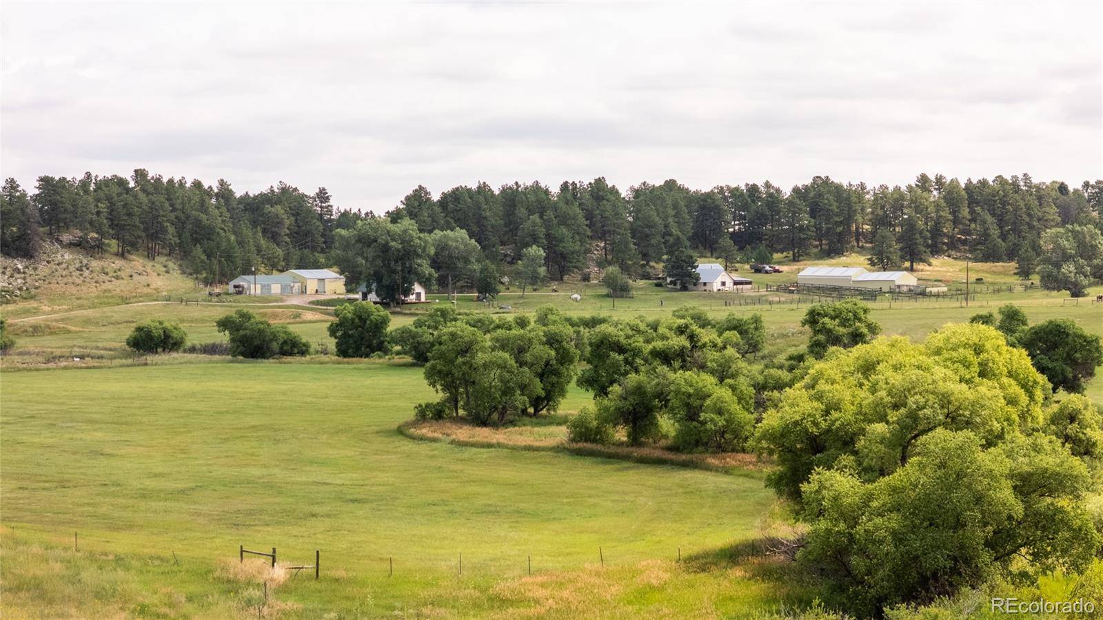 11503 E Smith RD, Elbert, CO 80106