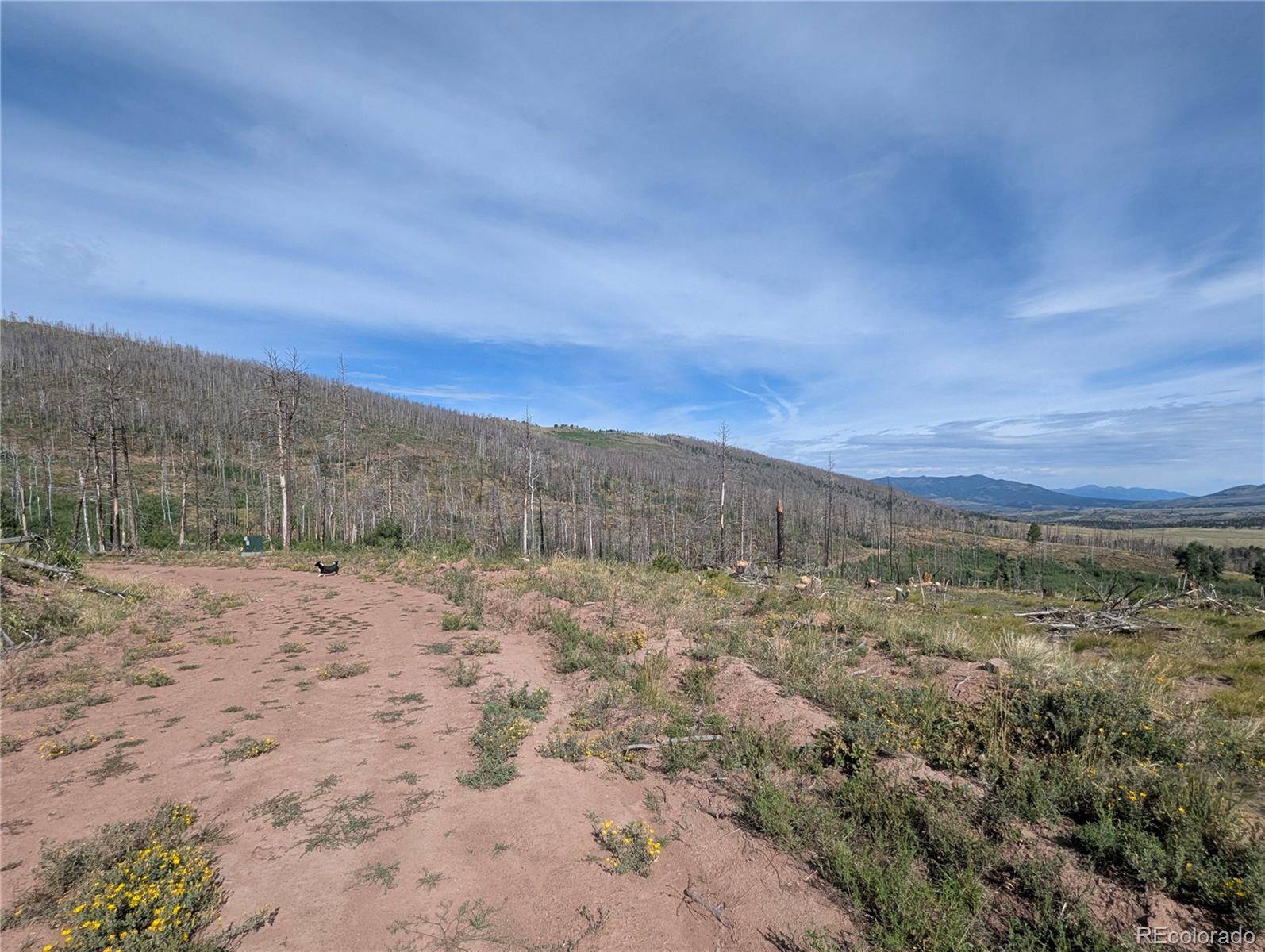 904 Ueda PL, Fort Garland, CO 81133