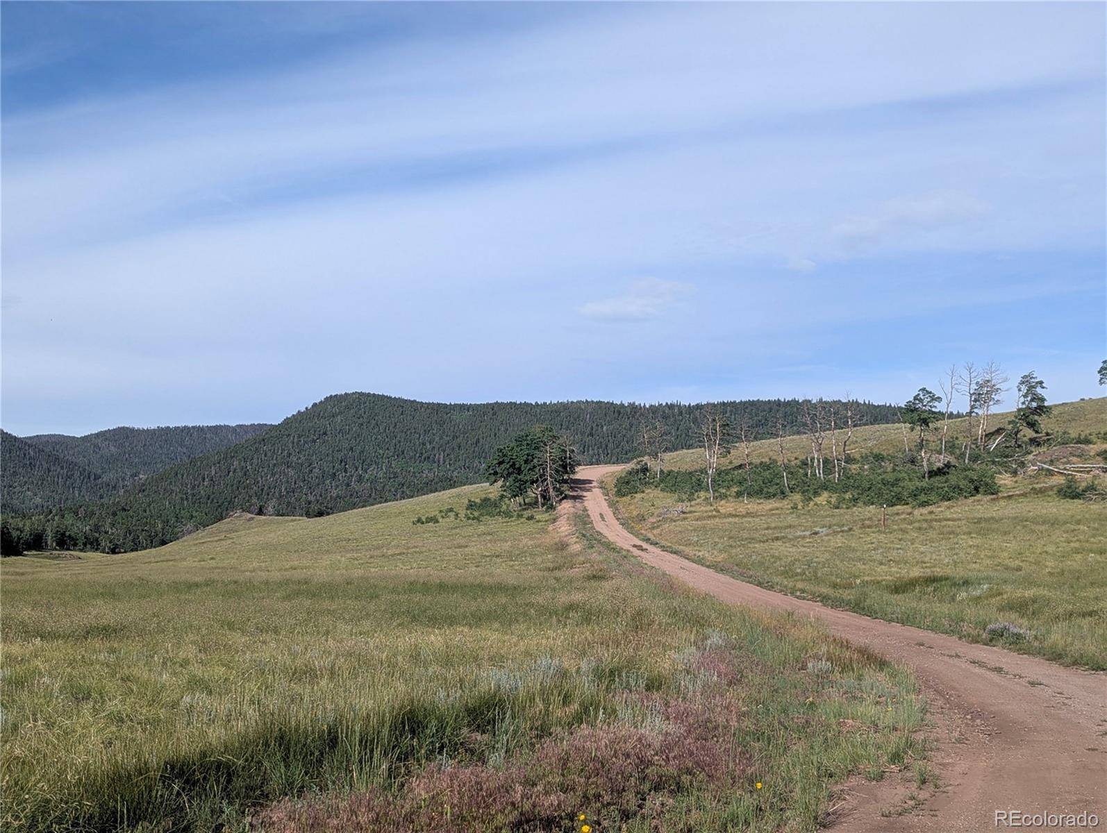 904 Ueda PL, Fort Garland, CO 81133