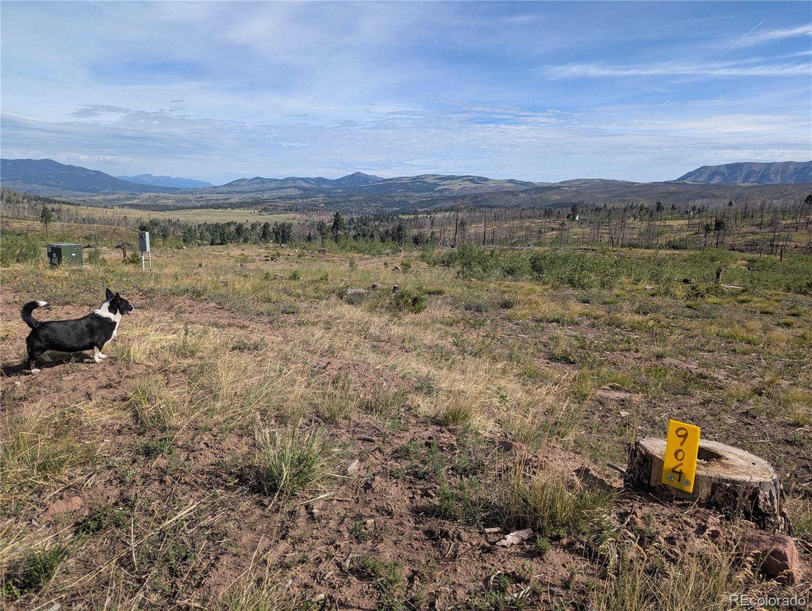 904 Ueda PL, Fort Garland, CO 81133