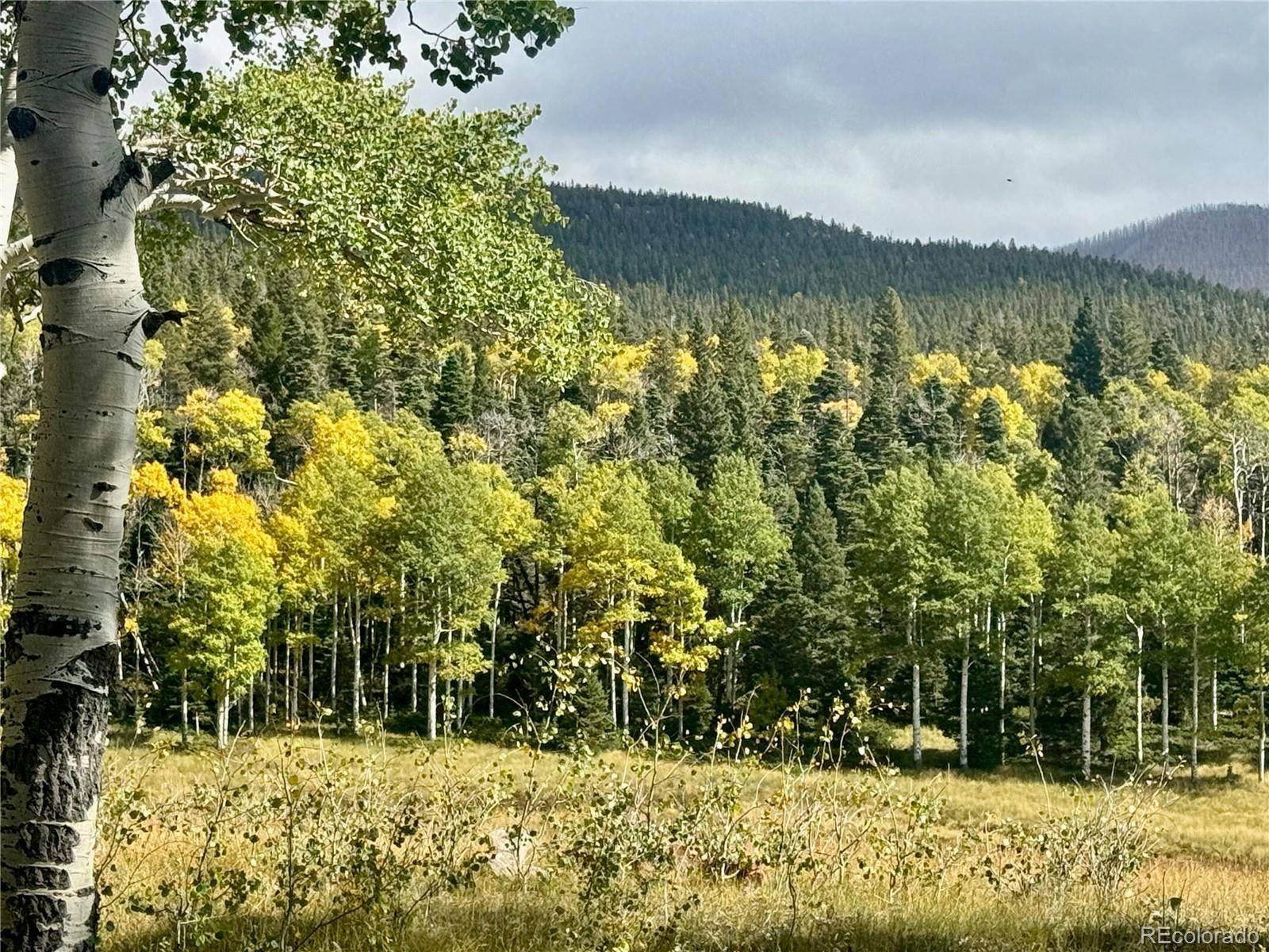 Lot 2843 Wendt LN, Fort Garland, CO 81133