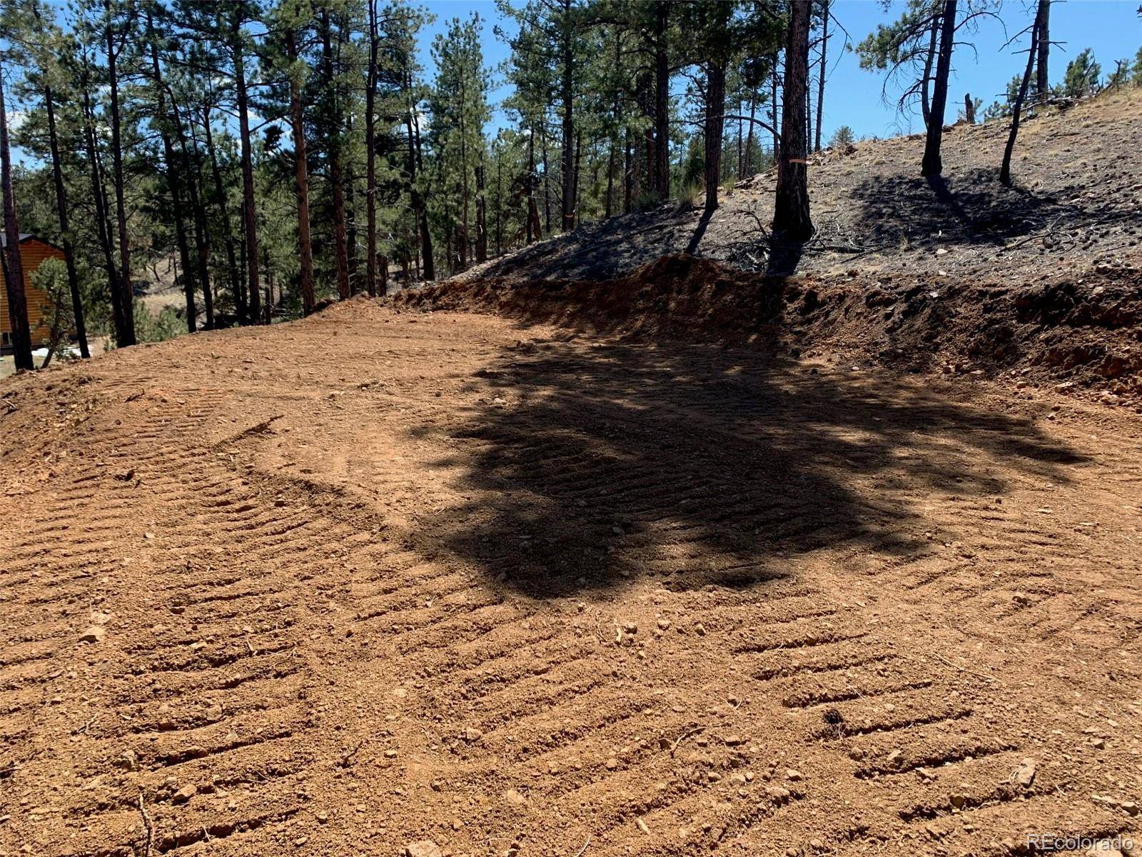 15421 Westcreek RD, Woodland Park, CO 80863