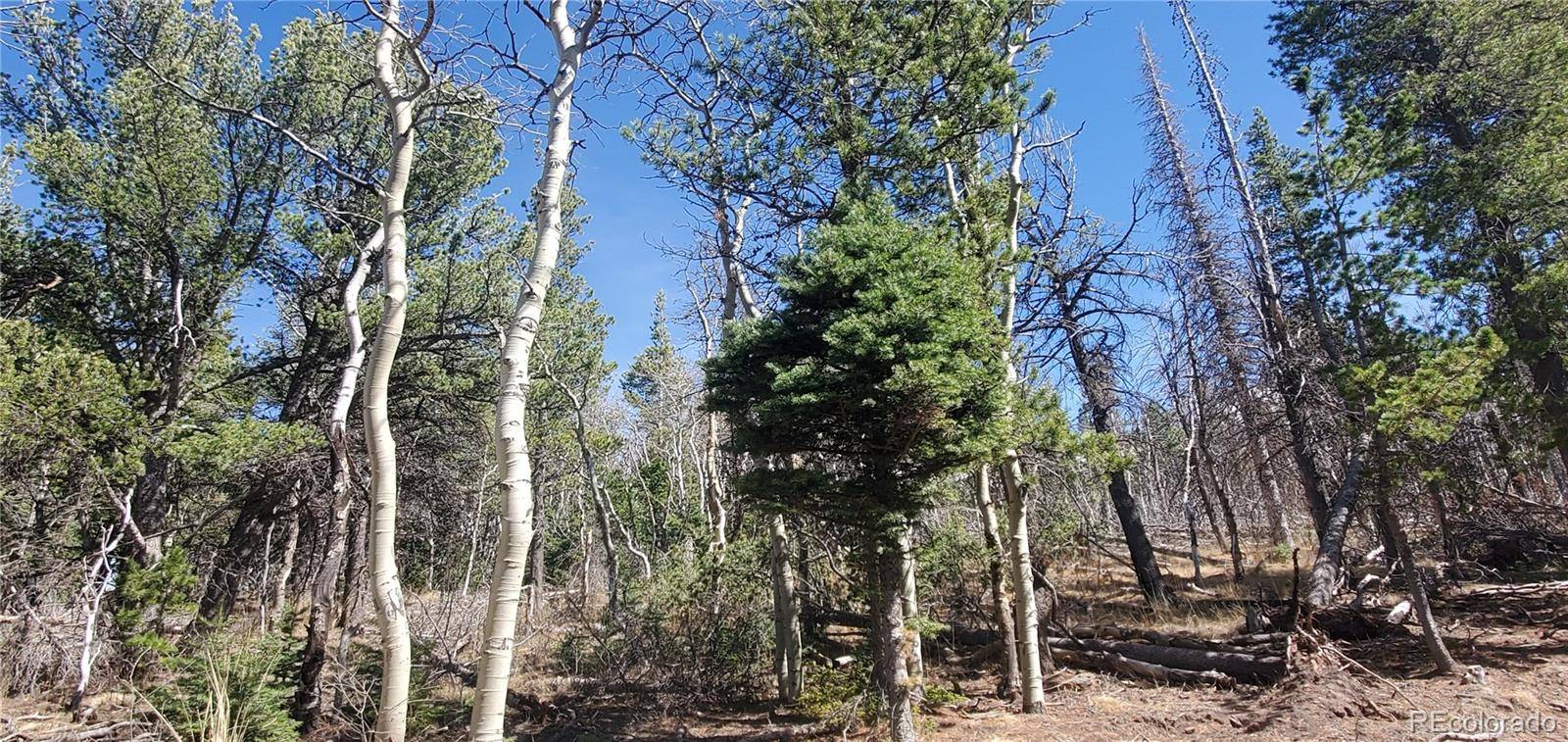 Lot 2560 Grojean DR, Fort Garland, CO 81133