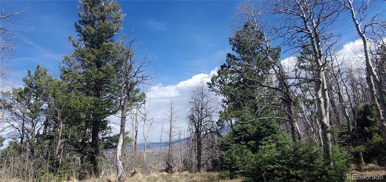 Lot 2560 Grojean DR, Fort Garland, CO 81133