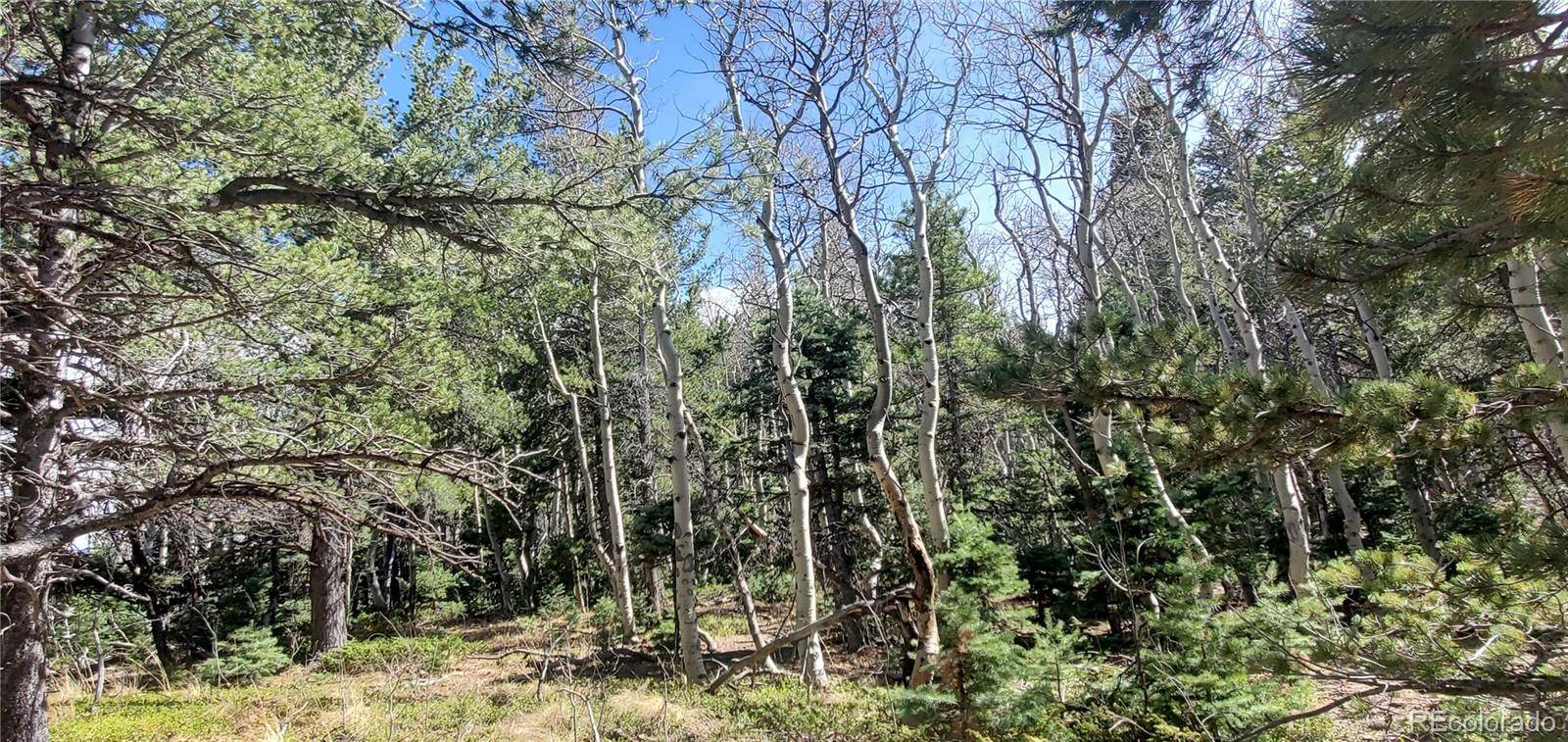 Lot 2560 Grojean DR, Fort Garland, CO 81133