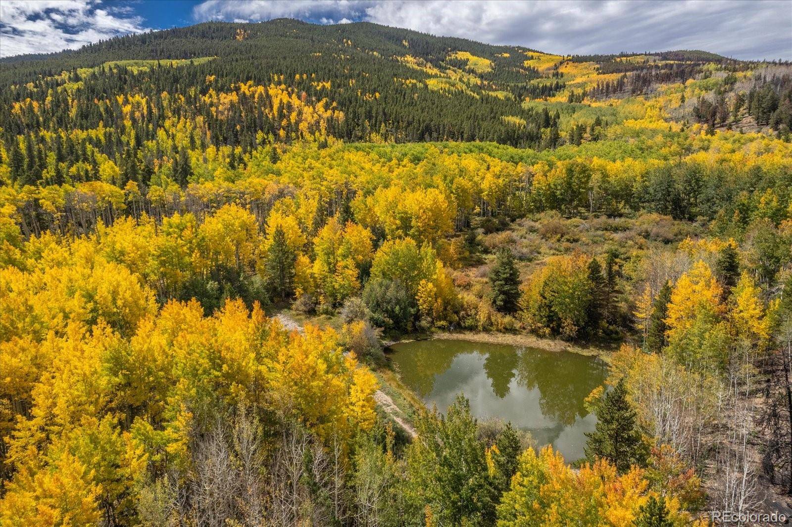 000 TBD County Road 28A, Twin Lakes, CO 81251