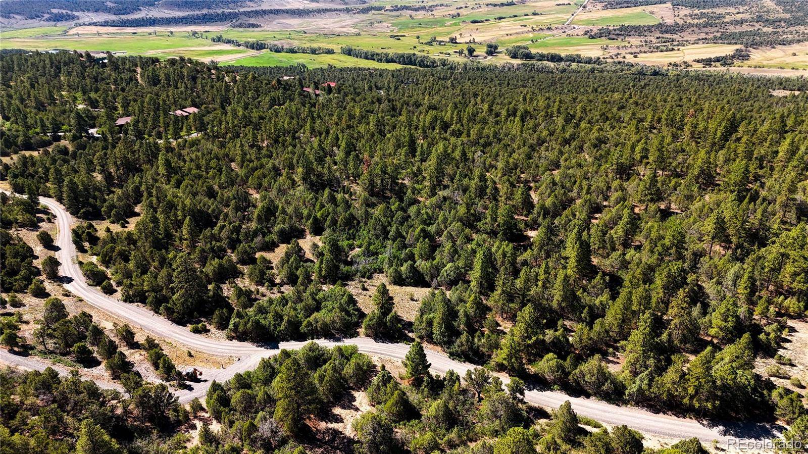 000 Old Relay RD, Ridgway, CO 81432