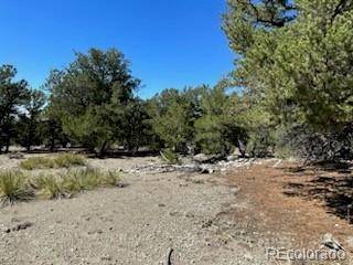 15 Mill Run RD, Mosca, CO 81146