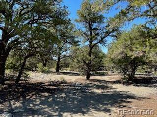 15 Mill Run RD, Mosca, CO 81146