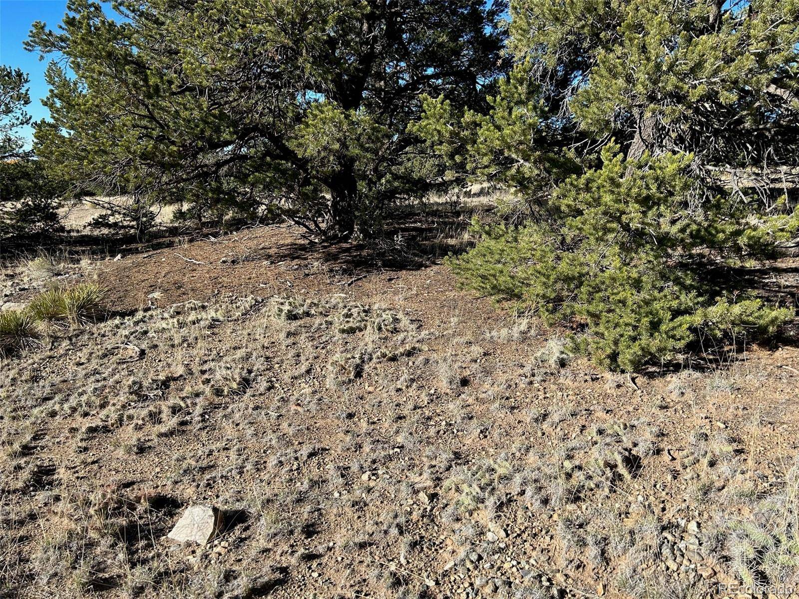 103 Indian Hill RD, Mosca, CO 81146