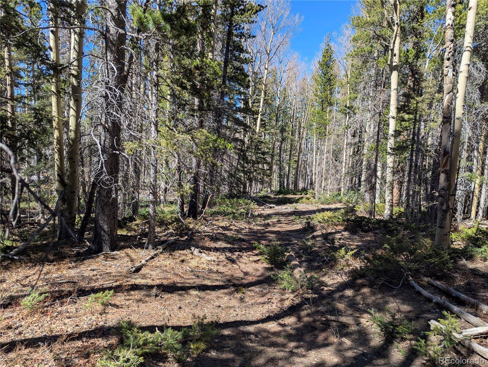3375 Purnell LN, Fort Garland, CO 81133