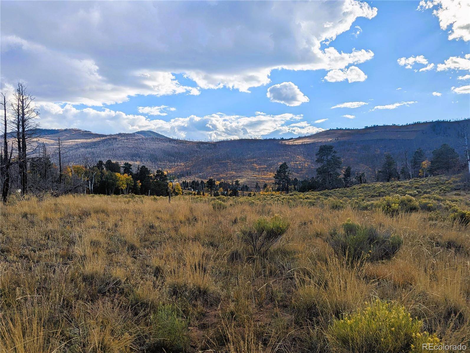1129 Laker LN, Fort Garland, CO 81133