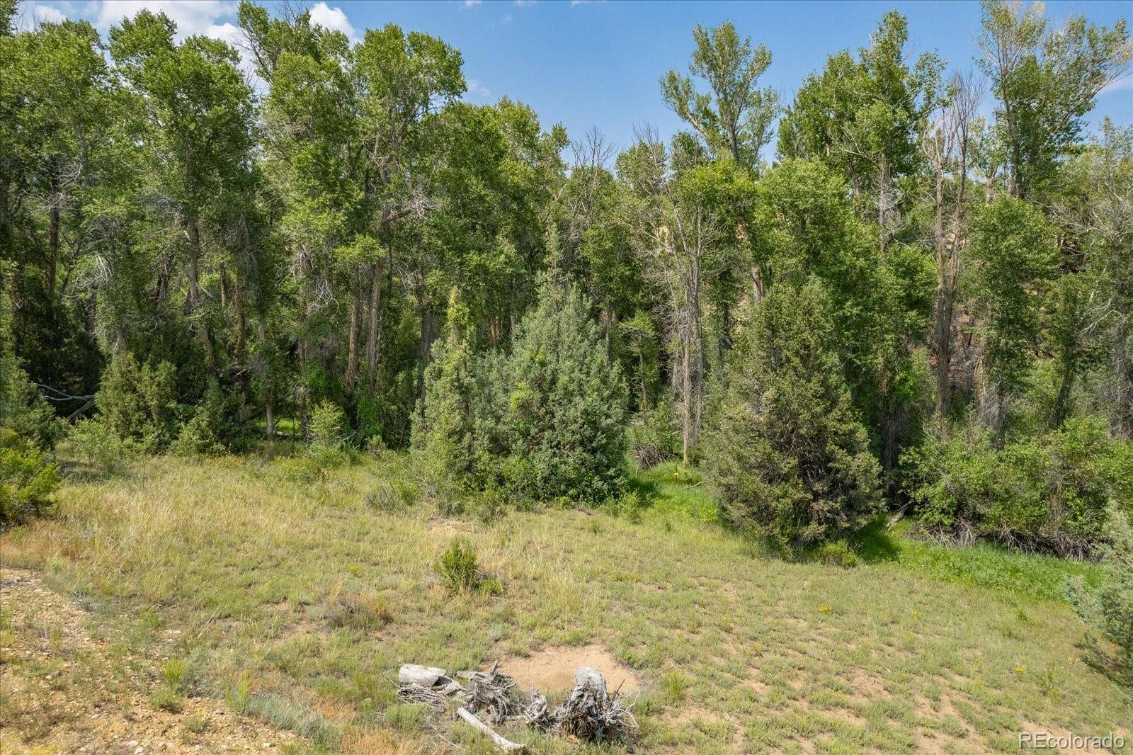 7925 Cozart LN, Salida, CO 81201