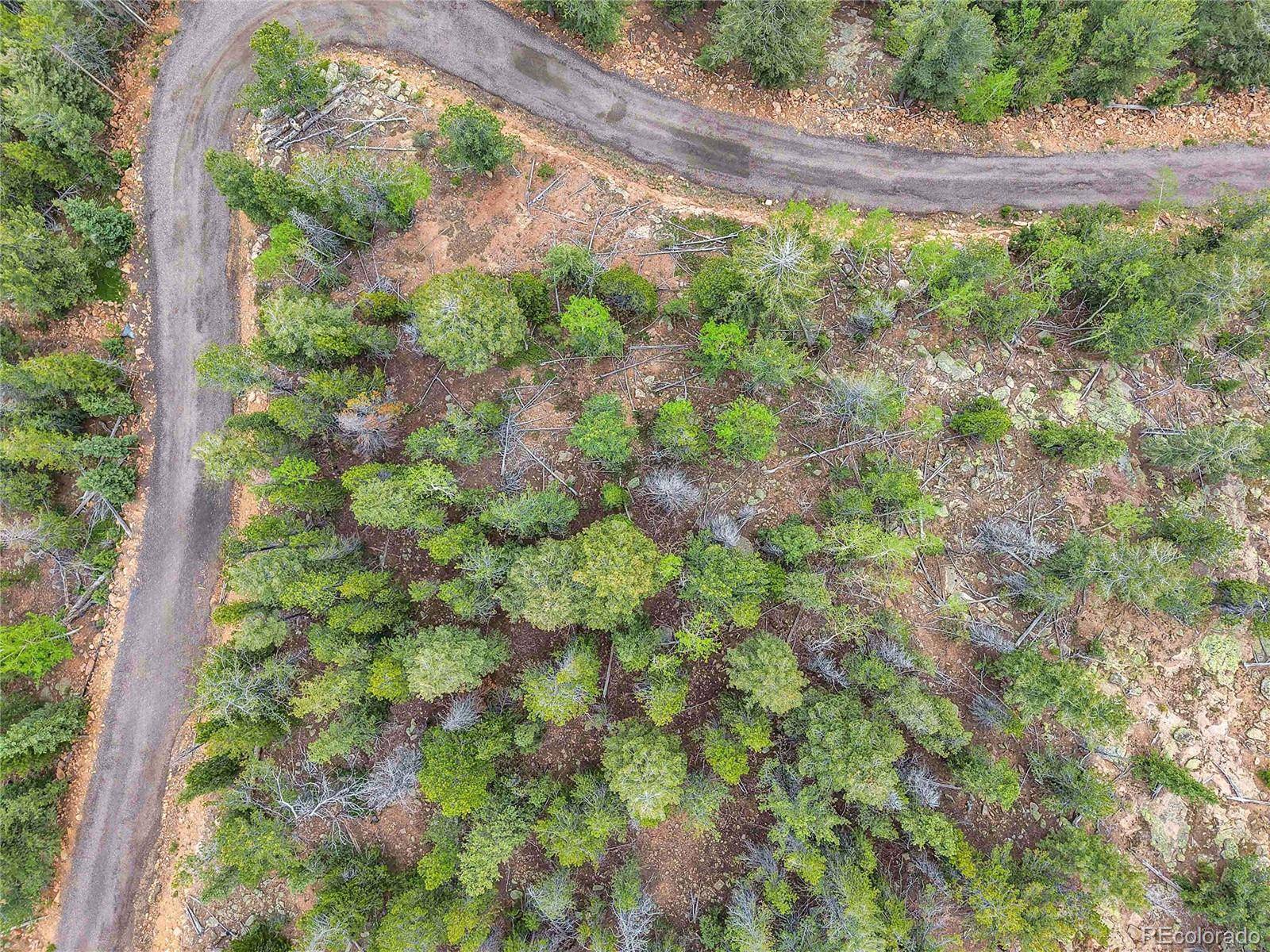 000 Mule Slide TRL, Conifer, CO 80433