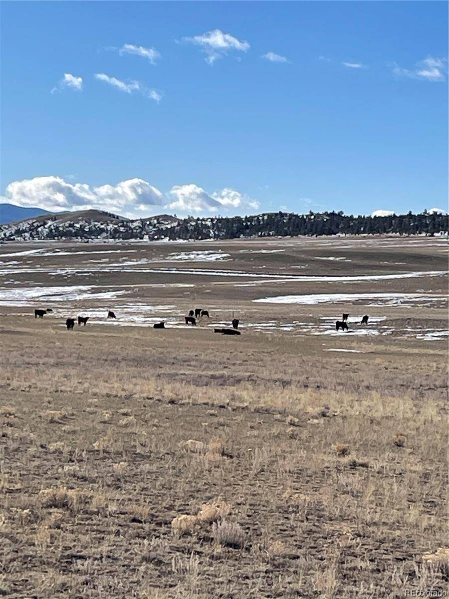 1260 Goldenburg Canyon RD, Hartsel, CO 80449