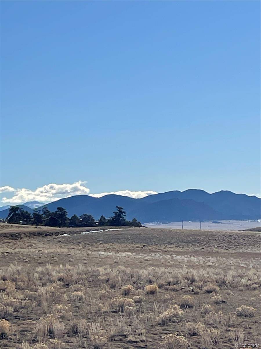 1260 Goldenburg Canyon RD, Hartsel, CO 80449