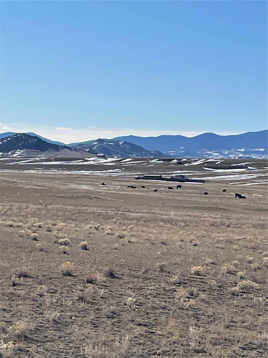 1260 Goldenburg Canyon RD, Hartsel, CO 80449