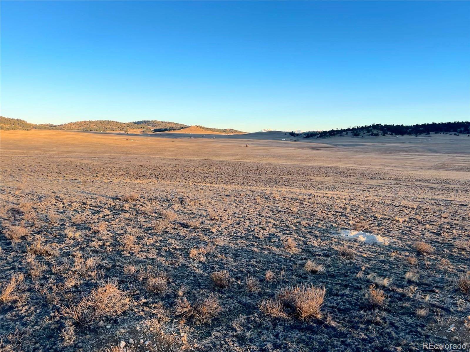 4284 Goldenberg Canyon RD, Hartsel, CO 80449