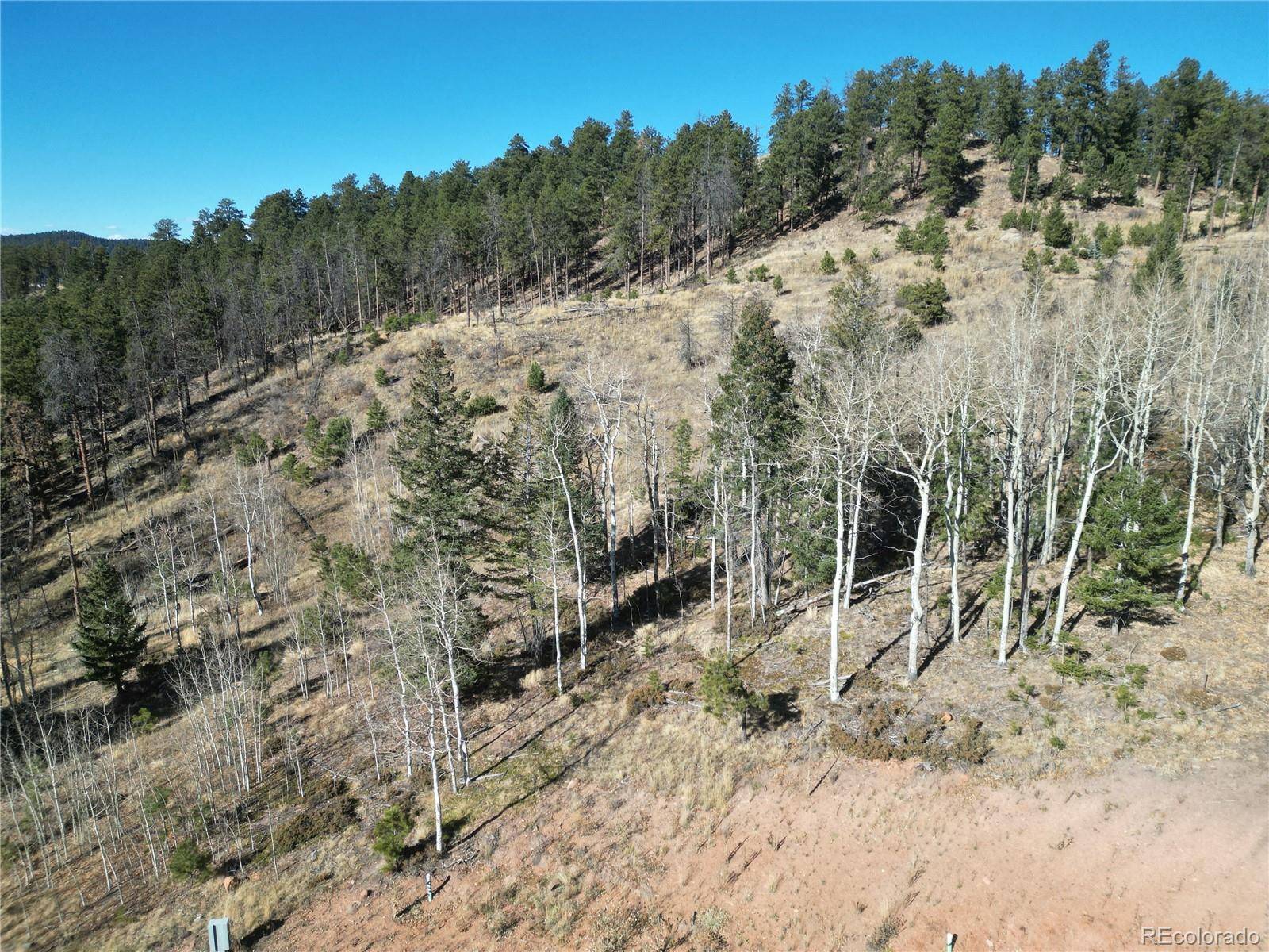 14 Blue Haven PL, Woodland Park, CO 80863