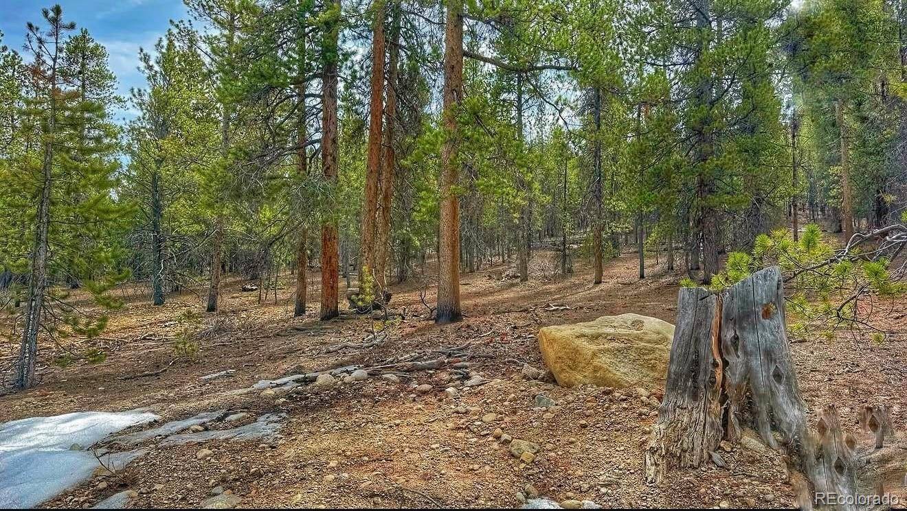 66 Mount Massive RD, Twin Lakes, CO 81251