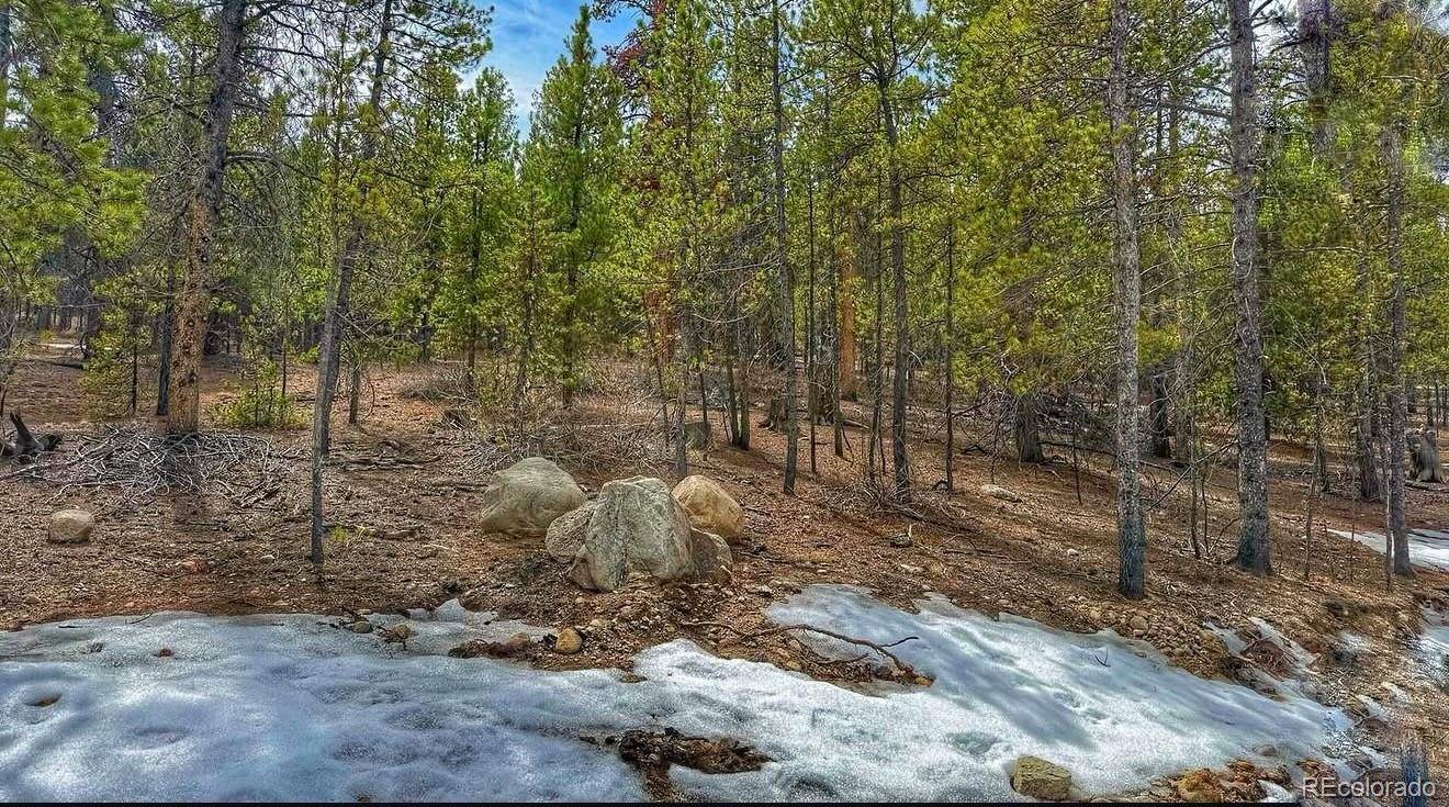 66 Mount Massive RD, Twin Lakes, CO 81251