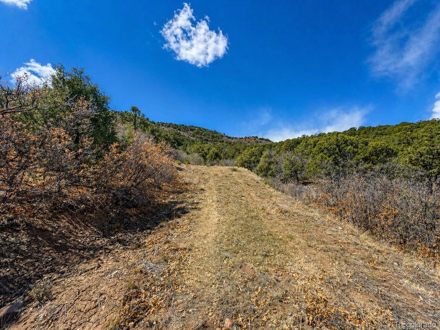 TBD - Lot 36 Corral, Texas Creek, CO 81223