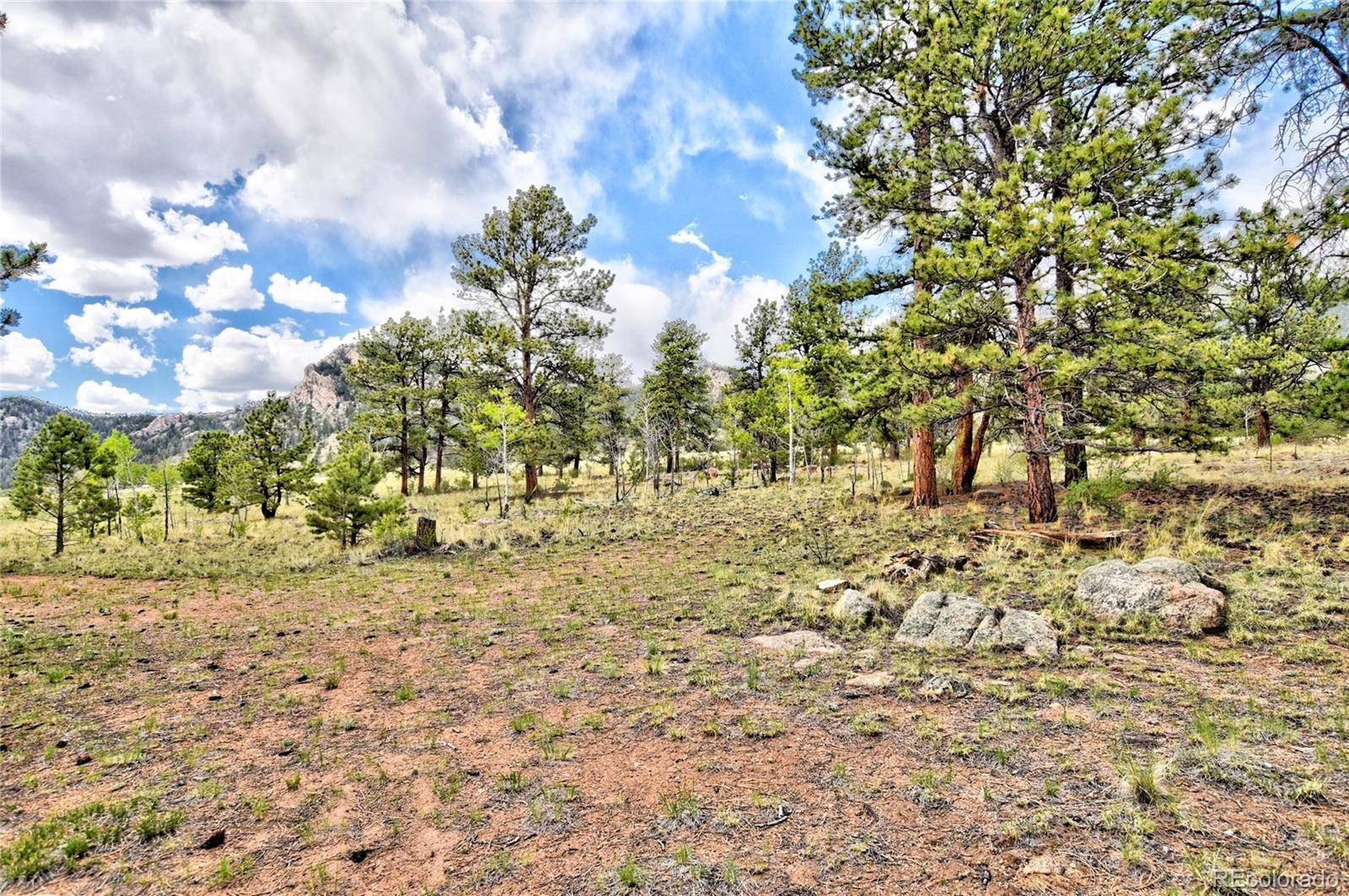 490 Teller ST, Lake George, CO 80827