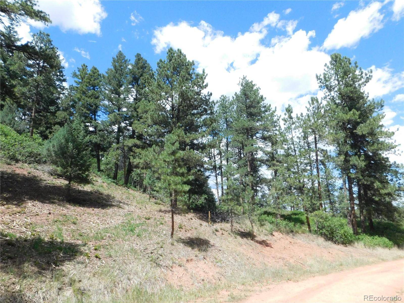 8055 Acoma DR, Larkspur, CO 80118