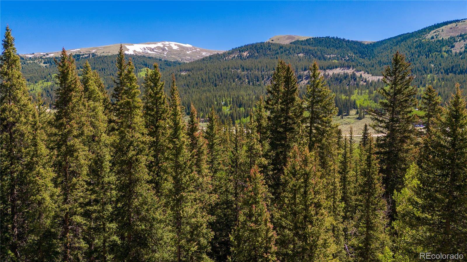 797 Peterson DR, Fairplay, CO 80440