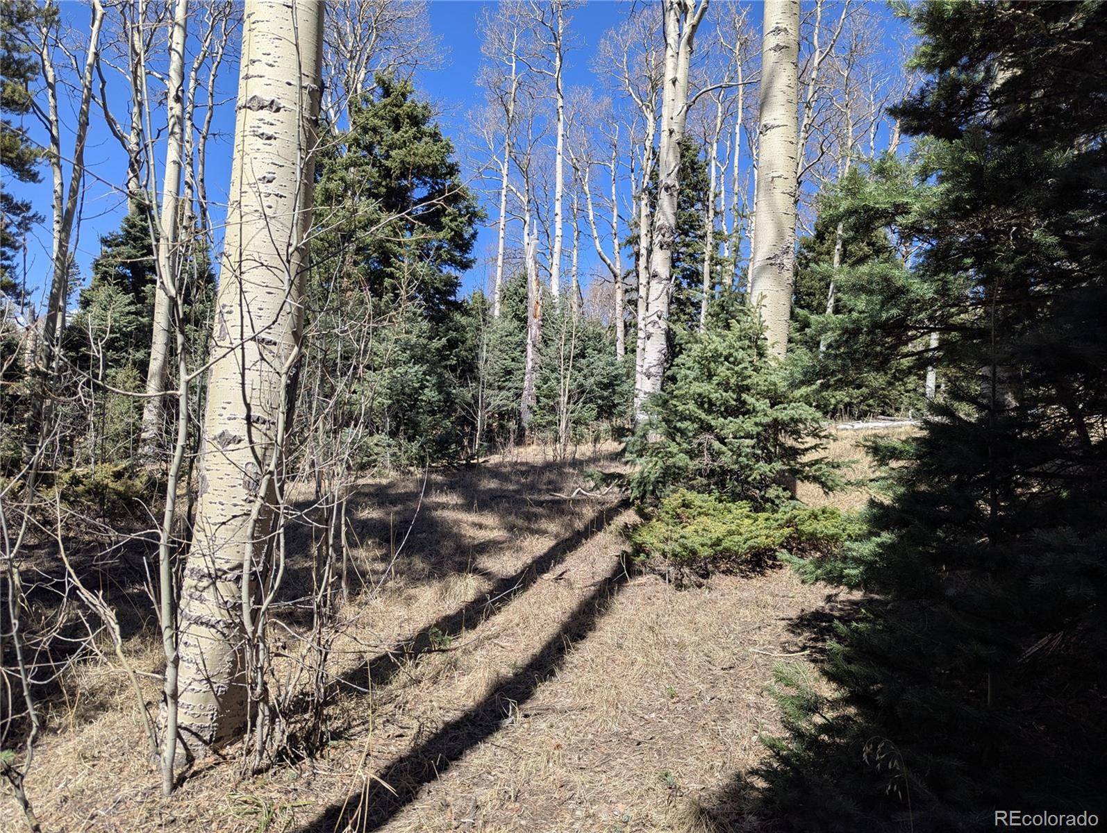 2664 Grojean DR, Fort Garland, CO 81133