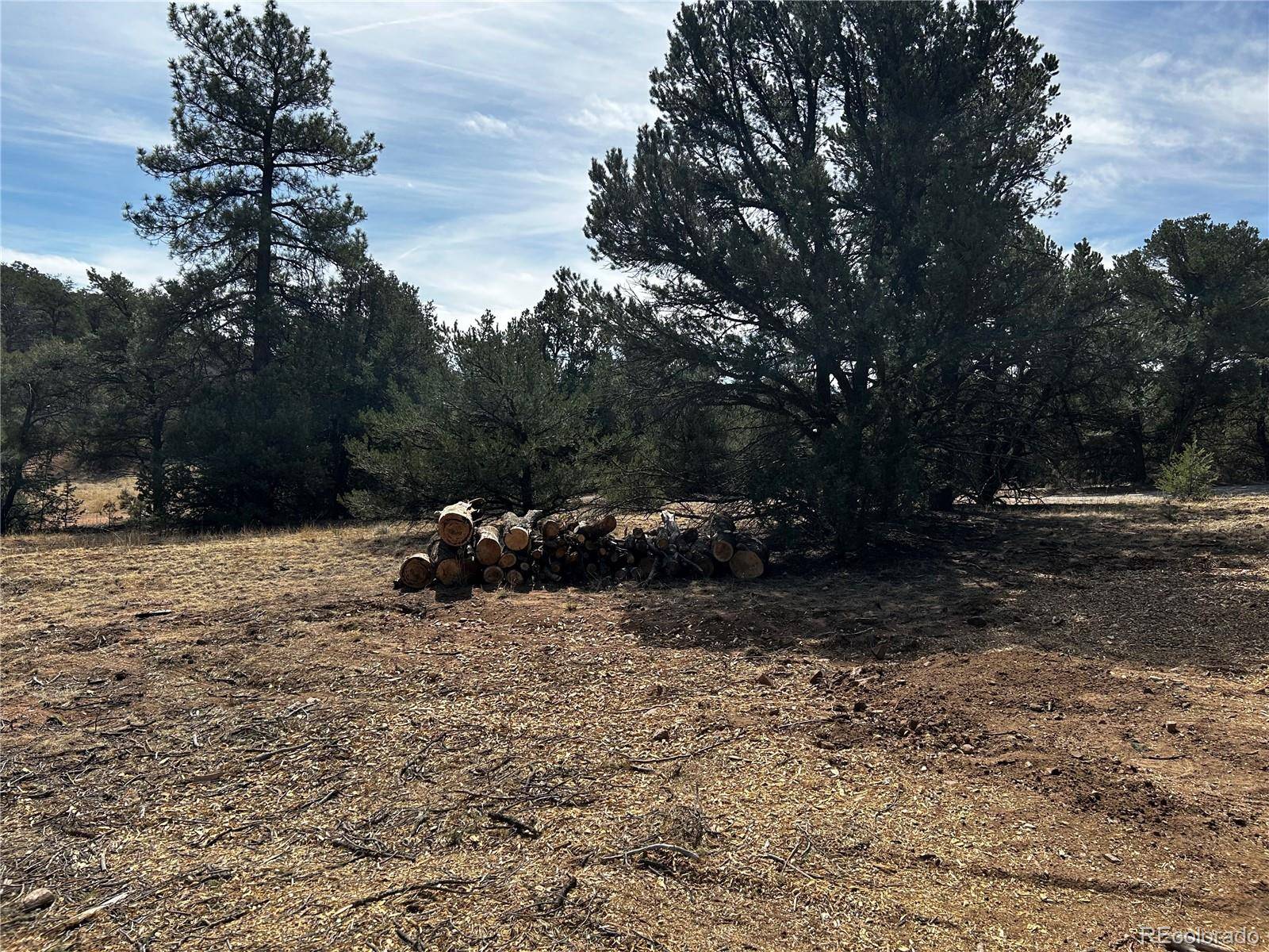 2065 Indian Wells RD, Cotopaxi, CO 81223