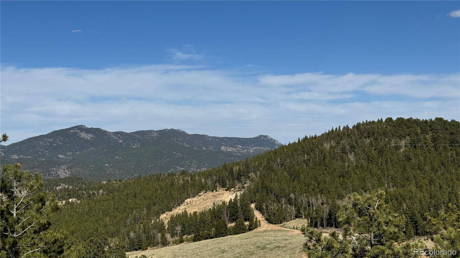 005 Pewabic Mine RD, Central City, CO 80427