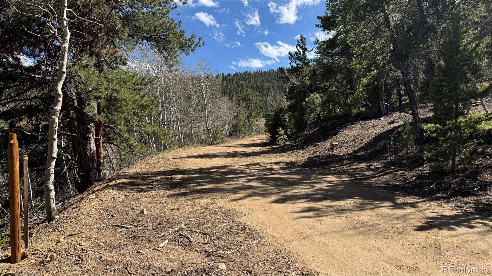 005 Pewabic Mine RD, Central City, CO 80427