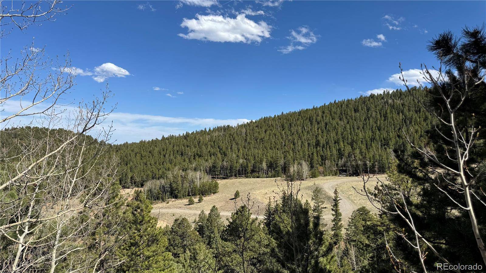 005 Pewabic Mine RD, Central City, CO 80427