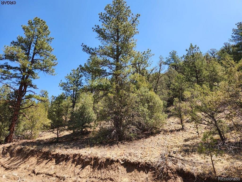 1314 Arnold DR, Cotopaxi, CO 81223