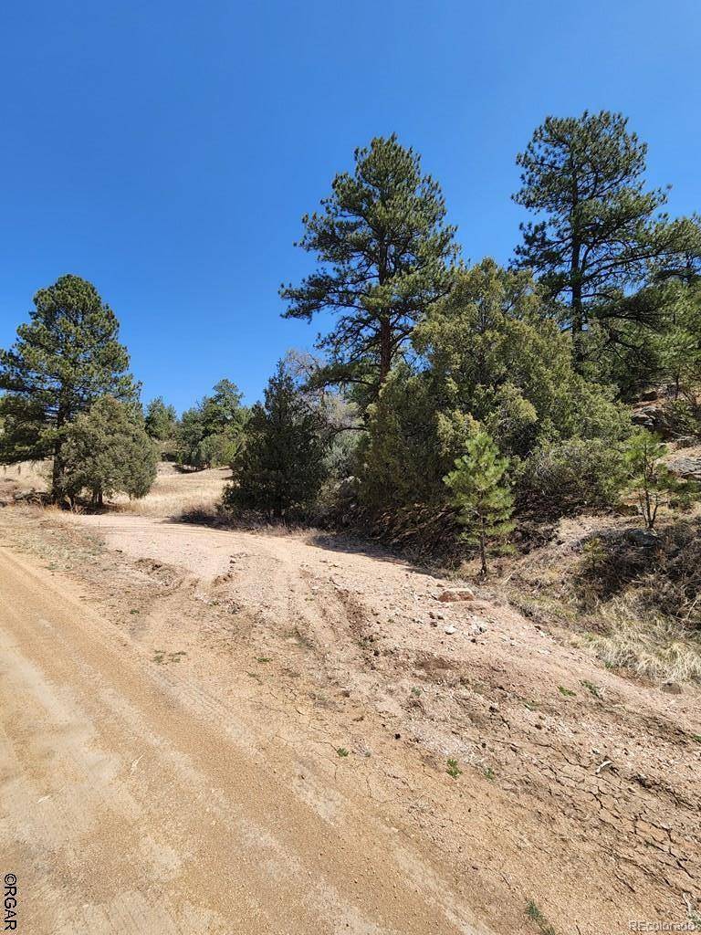1314 Arnold DR, Cotopaxi, CO 81223