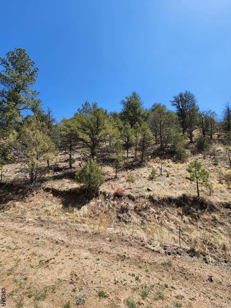 1314 Arnold DR, Cotopaxi, CO 81223