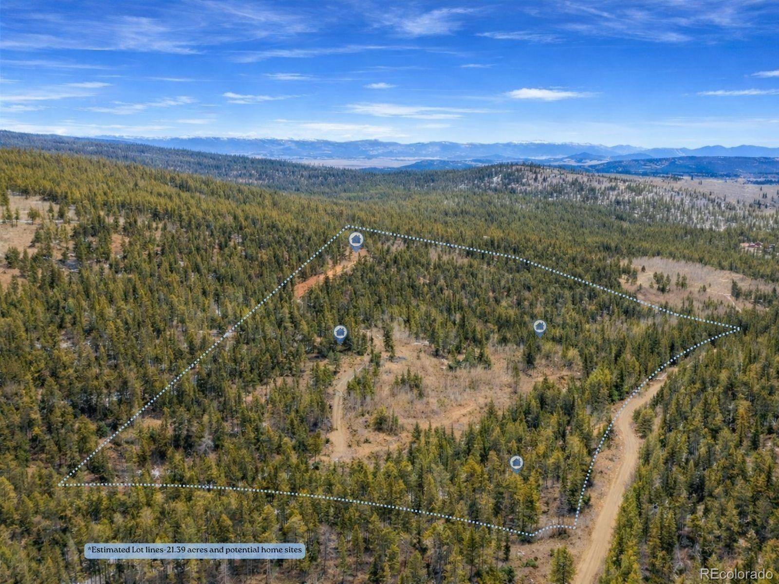 000 Beaver Creek RD, Alma, CO 80420