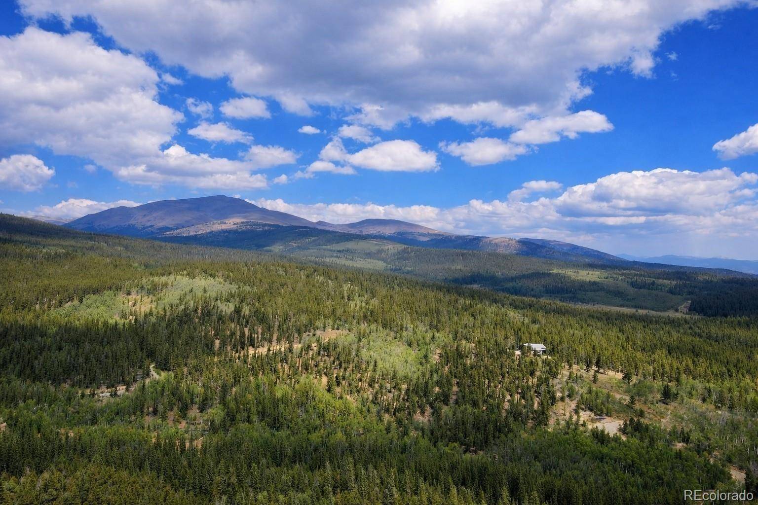 000 Beaver Creek RD, Alma, CO 80420
