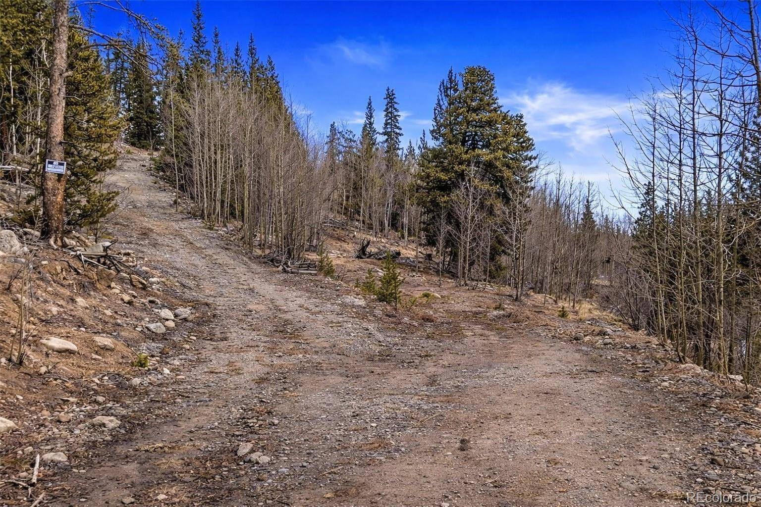 000 Beaver Creek RD, Alma, CO 80420