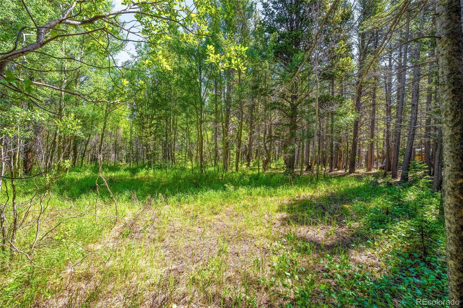 112 Deer RD, Idaho Springs, CO 80452
