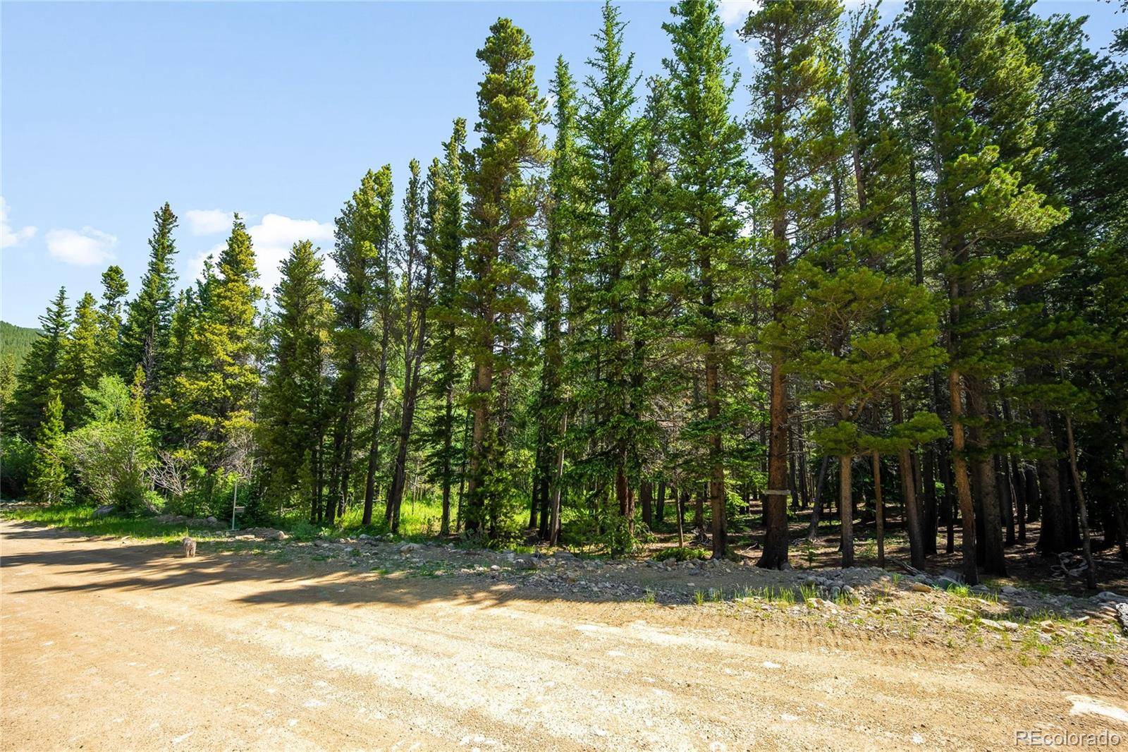112 Deer RD, Idaho Springs, CO 80452