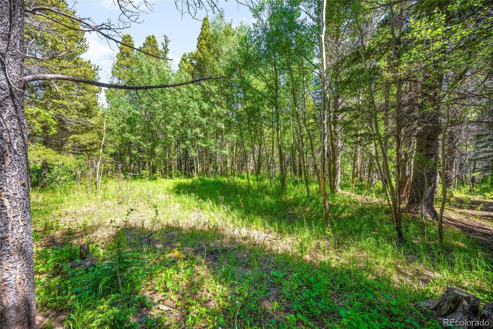 112 Deer RD, Idaho Springs, CO 80452