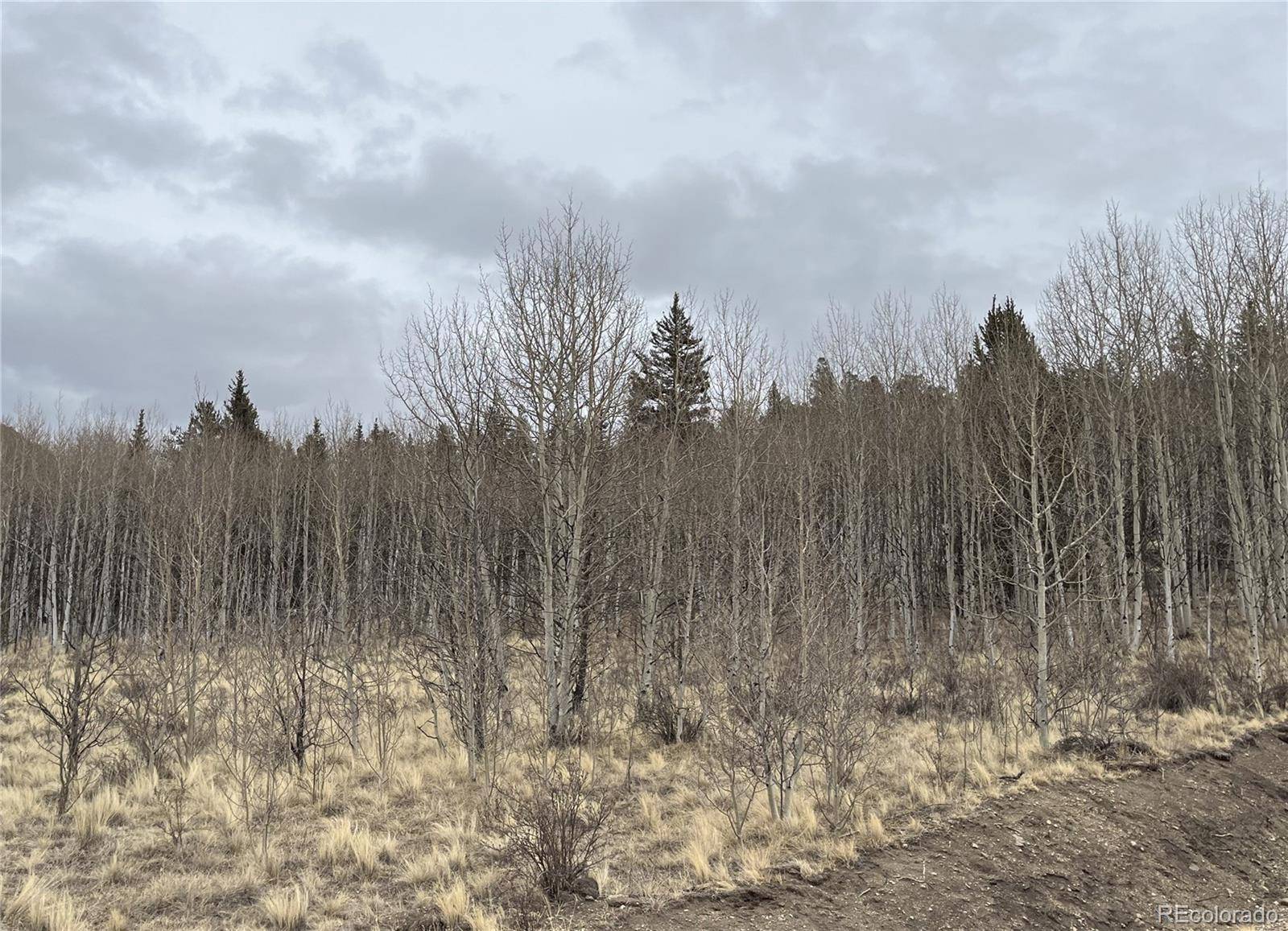 688 Ouray TRL, Como, CO 80432