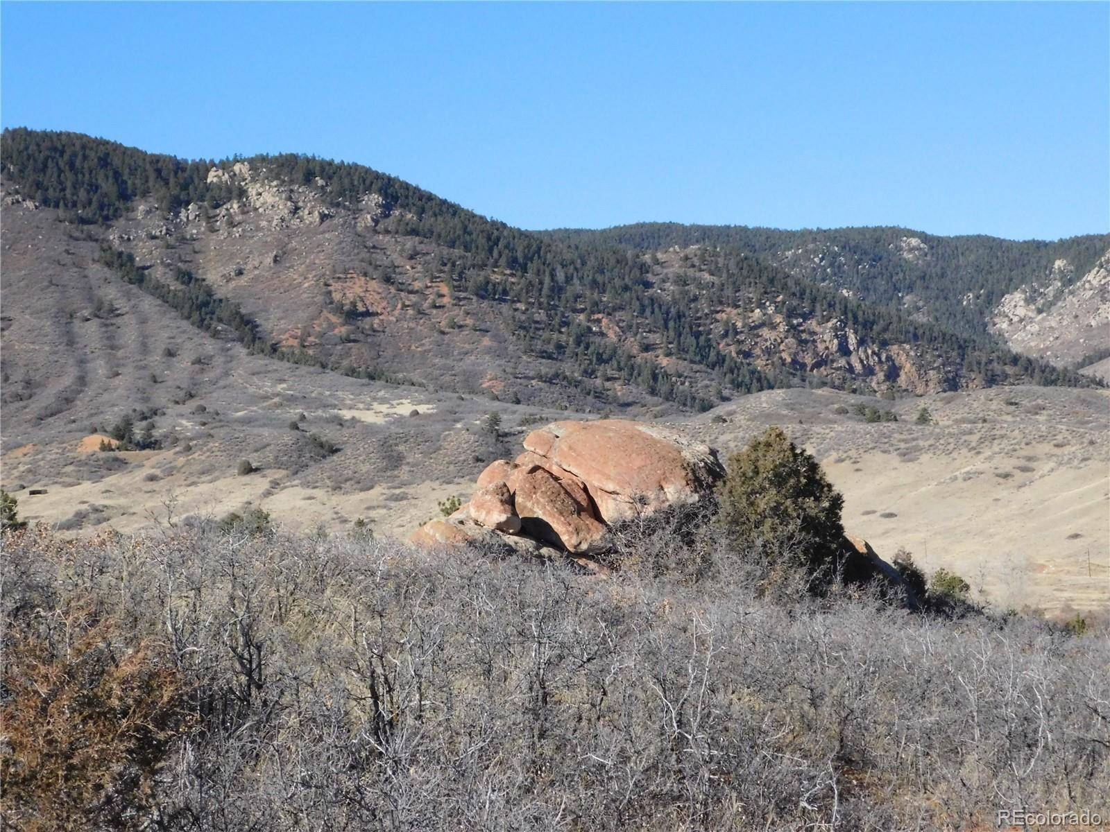 6271 Country Club DR, Larkspur, CO 80118