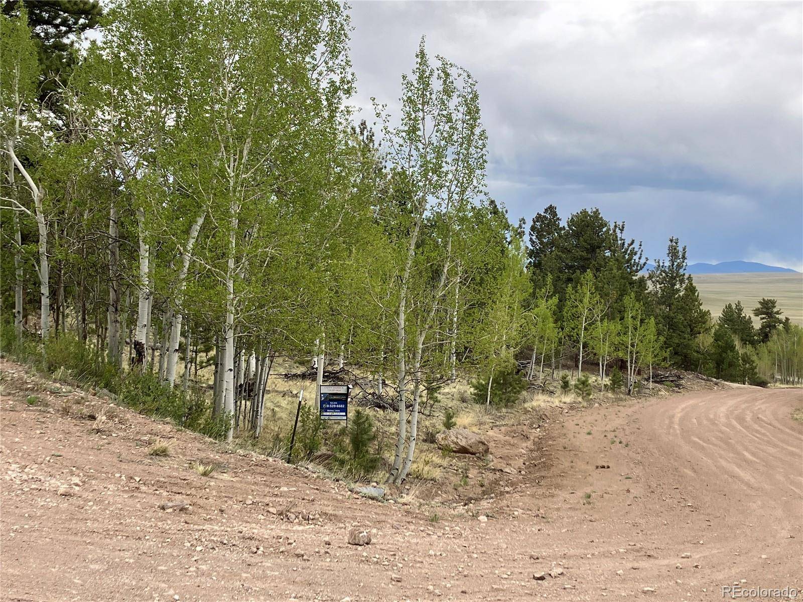 256 Bandana RD, Hartsel, CO 80449