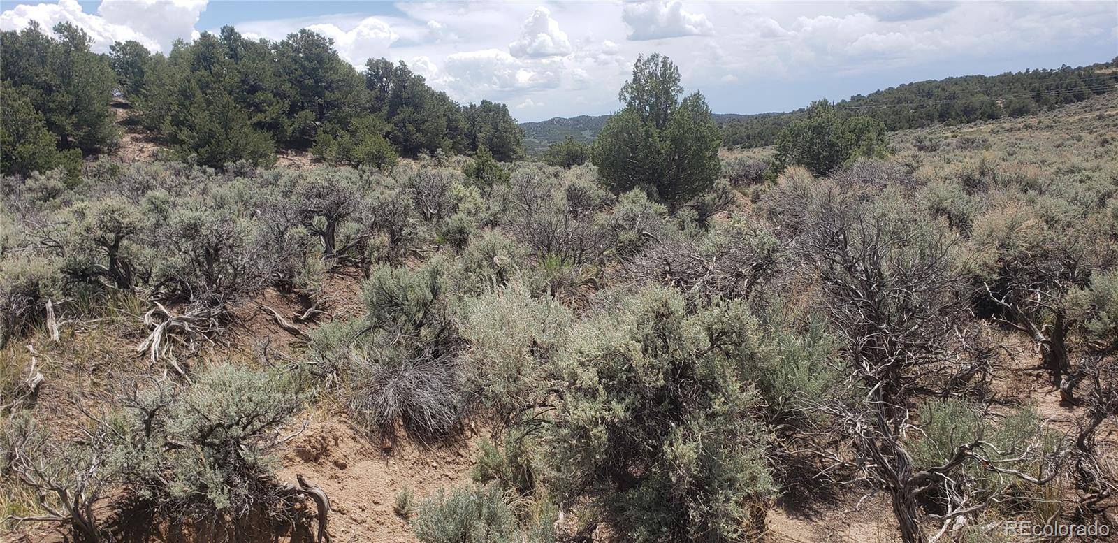 Lot 1505 Juarez & Dunn RD, San Luis, CO 81152