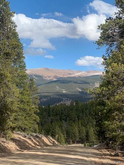 180 Peak View DR, Leadville, CO 81251